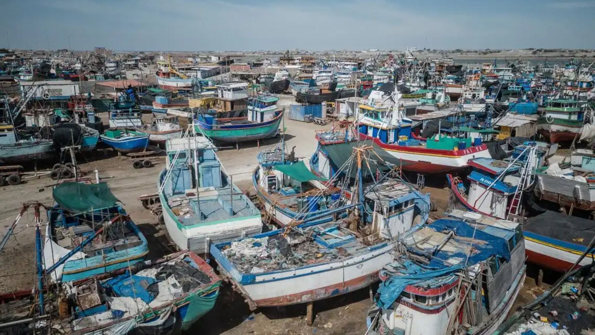 La pesca de pota en Perú quedó habilitada con un Límite Máximo de Captura Total Permisible de 709.659 toneladas para 2026.