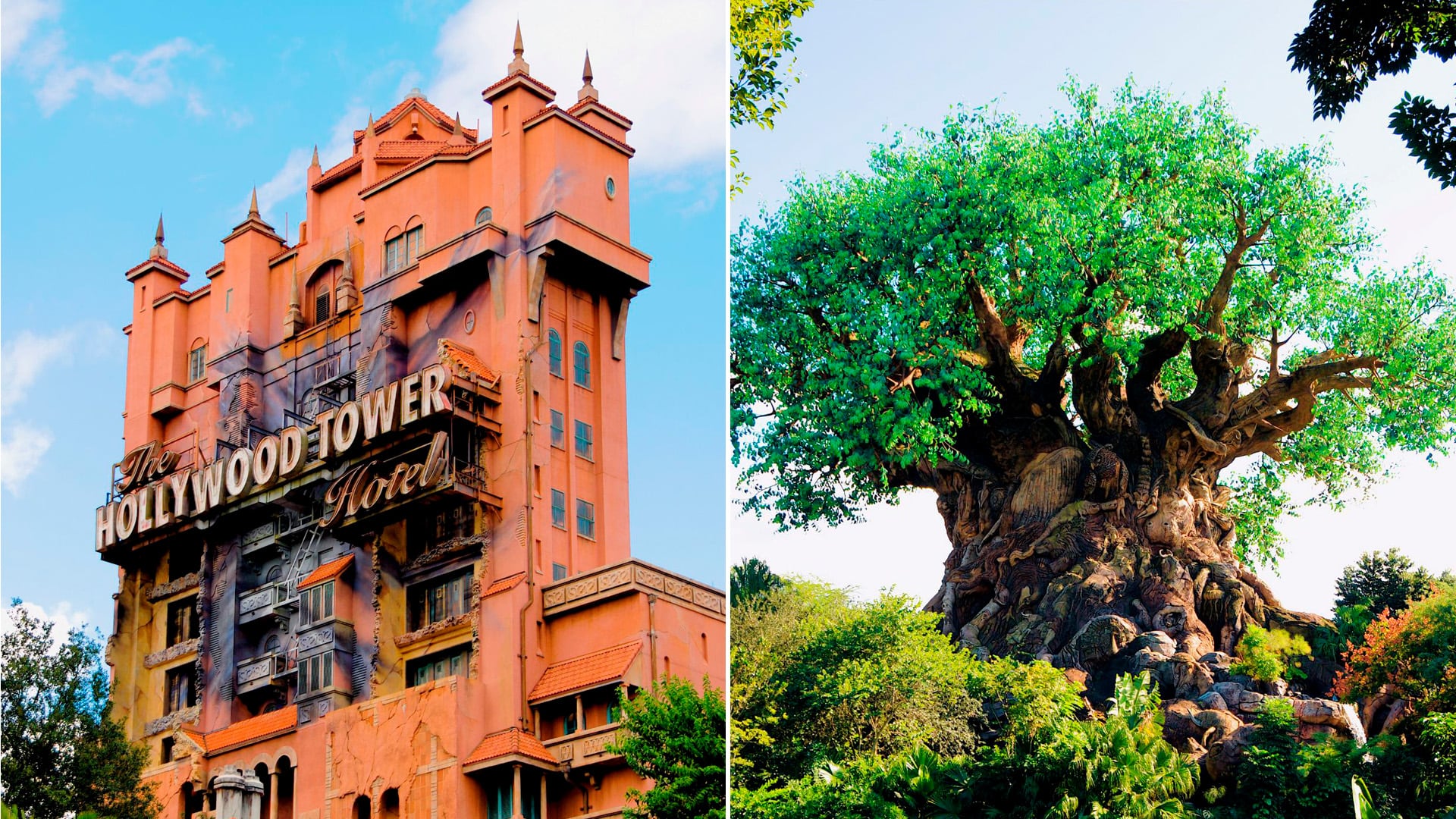 Los parques de Walt Disney World Resort ofrecen propuestas diseñadas para conectar generaciones. (Cortesía © 2025 Disney. THE TWILIGHT ZONE® es una marca registrada de A CBS Company. Todos los derechos reservados.)