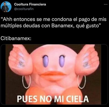 (Foto: Twitter/@coolturafin)