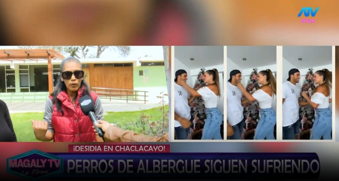 Animalistas responde a Alejandra Baigorria por denuncia contra albergue: “Ninguna de nosotras va a postular”. Captura: Magaly TV La Firme.
