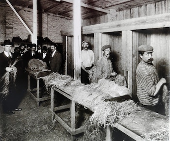 Entre sus demandas, los obreros