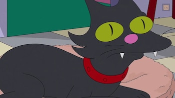 Bola de nieve fue el