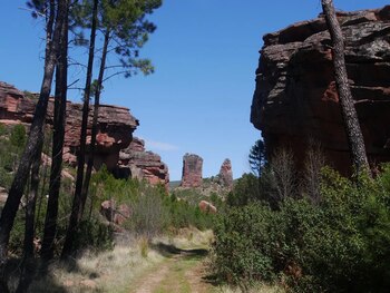 Georuta del Valle de los