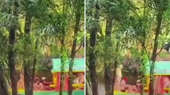 Las imágenes provocaron miles de reacciones sobre lo permitido en espacios públicos.