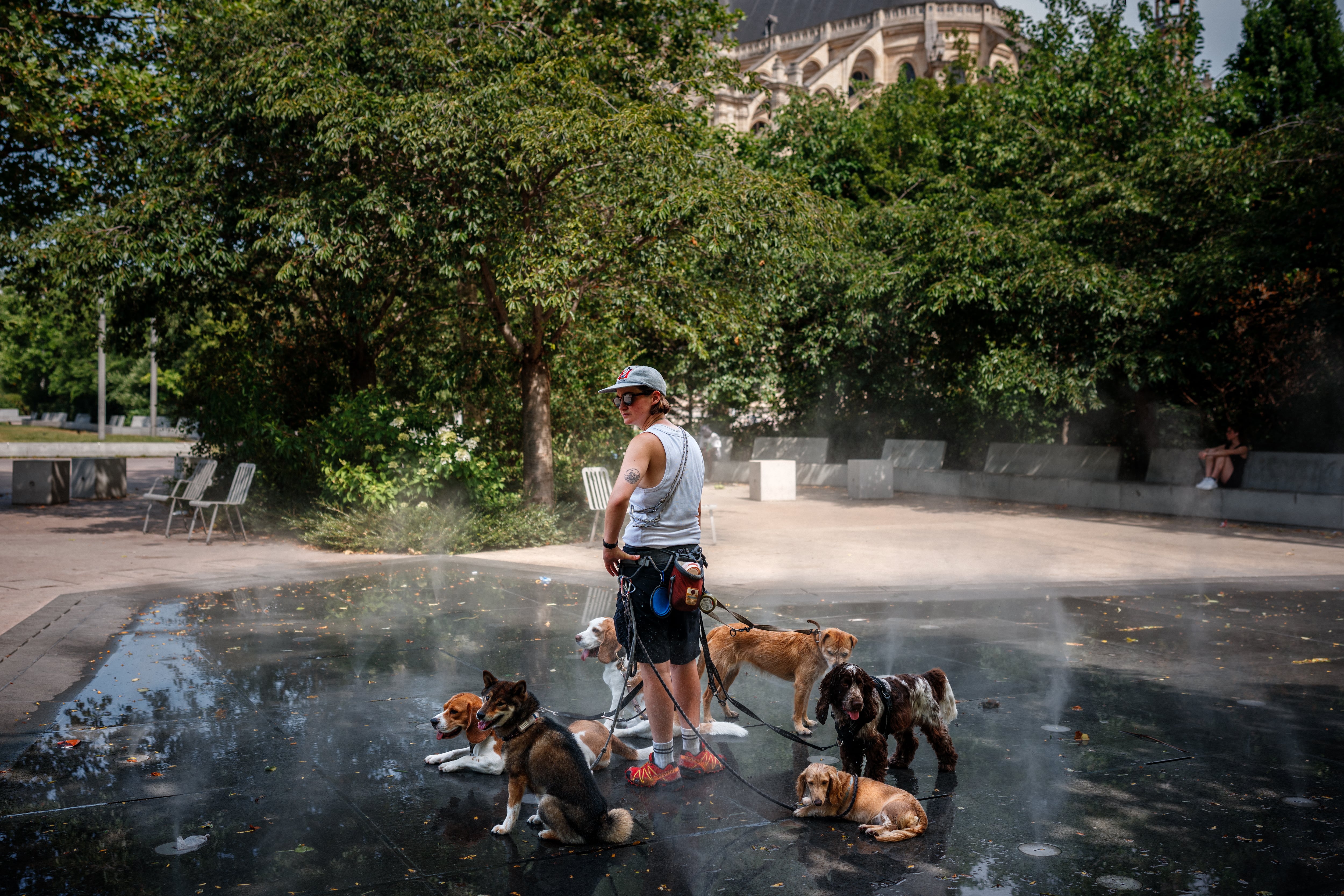 Una paseadora de perros los enfría en una fuente de niebla en París, en medio de la ola de calor que golpea a Francia, el 23 de junio de 2026. (Foto Dimitar Dilkoff/AFP)