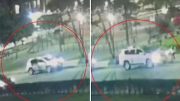 El perro Tiny, que se encontraba dentro de la camioneta robada, permanece desaparecido y su búsqueda genera preocupación vecinal - crédito Captura video City Tv