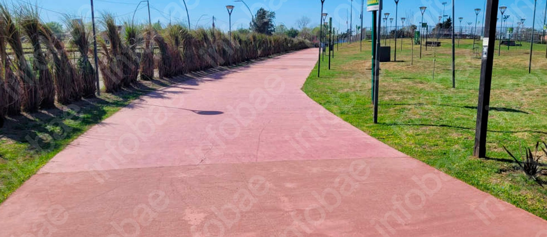 La Cámara de Apelación de General San Martín confirmó la condena contra la municipalidad por la caída de una mujer en un parque público del Gran Buenos Aires. Imagen del informe pericial (Poder Judicial)