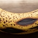 Mezclar cáscaras de banana y café molido: para qué sirve y por qué recomiendan hacerlo