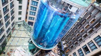 Estalló el mayor acuario cilíndrico