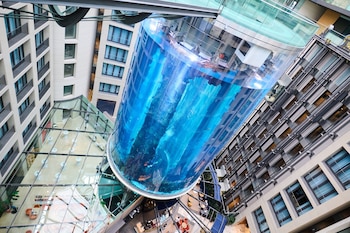 El AquaDom, un acuario cilíndrico