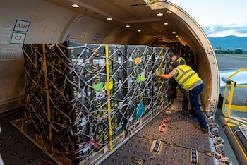 El análisis se apoya en