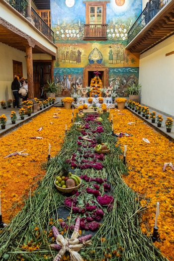 (Fotos: Gettyimages)