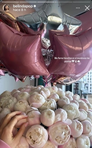(Historia de Instagram)