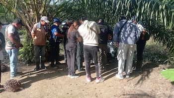 El descubrimiento del cuerpo sin vida de un menor en Tocache intensificó la búsqueda de su madre, quien viajó desde Lima para encontrarse con su expareja, ahora principal sospechoso