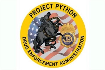 Proyecto Python
