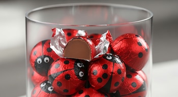 La omisión de la avellana