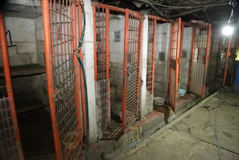 Los peritajes en el predio