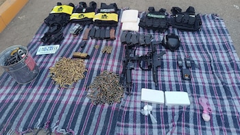 Esto fue lo que halló