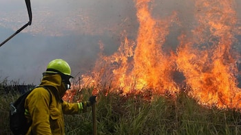 Un equipo de Bomberos de Bogotá se desplazó a Tolima para enfrentar la emergencia por incendios forestales: esta es la situación