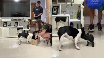 Un encuentro lleno de amor