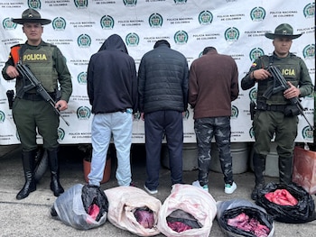 Los capturados llevaban el contenido