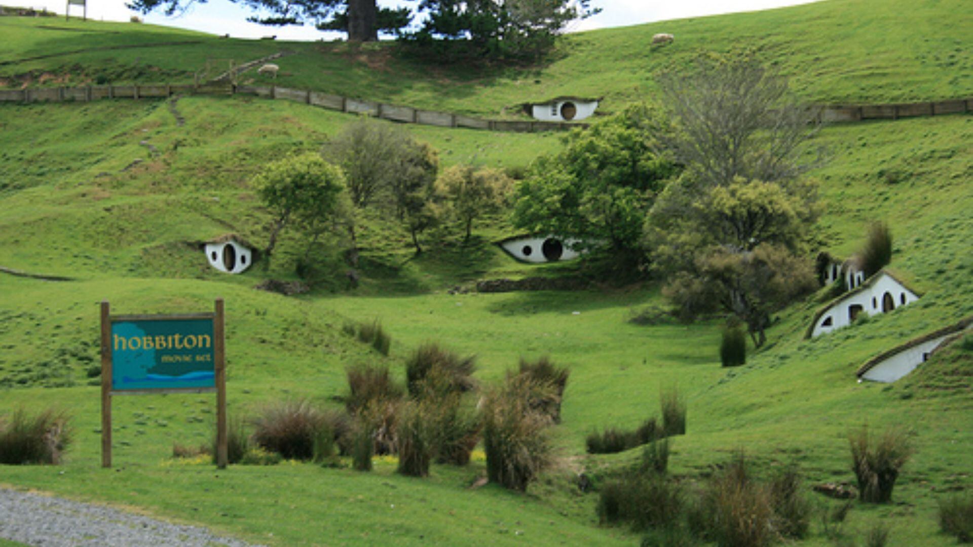 Tras el rodaje, la familia Alexander solicitó conservar Hobbiton, transformándolo en una exitosa atracción turística internacional (foto: Wikipedia)