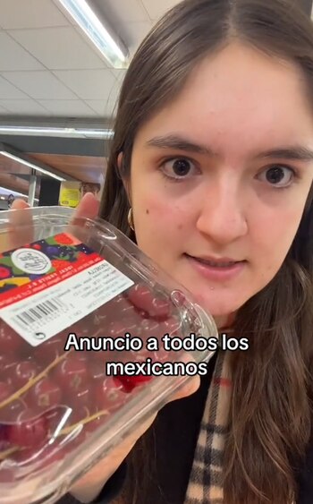 (TikTok: @danielagpremium)