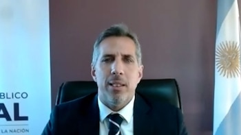 Diego Luciani, fiscal