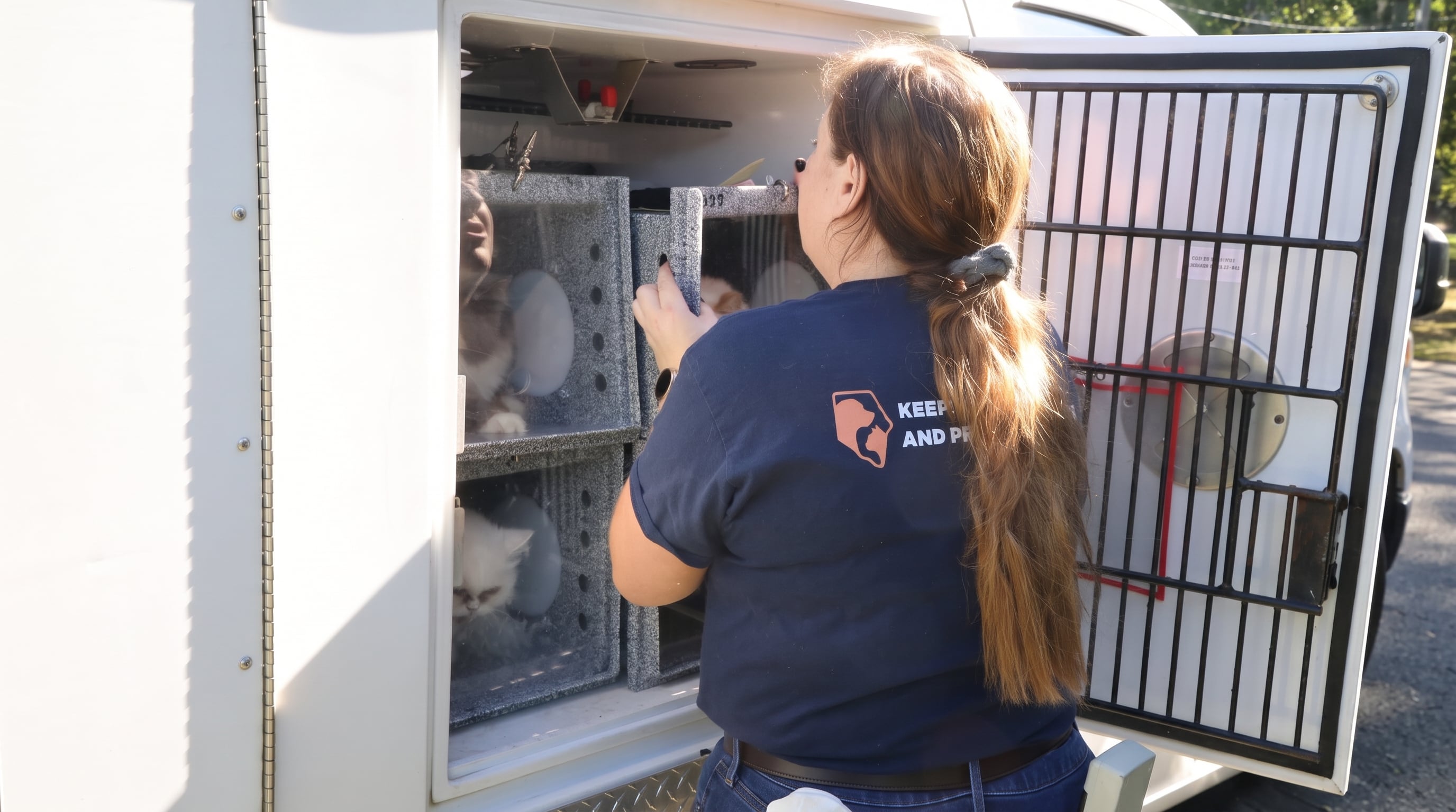 El operativo oficial retiró 87 gatos y cuatro cachorros con cuadros de desnutrición y afecciones de salud. (Facebook/Pet Resource Center Spartanburg County)