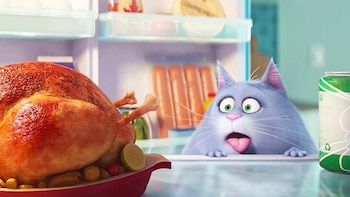 Trailer La Vida Secreta De