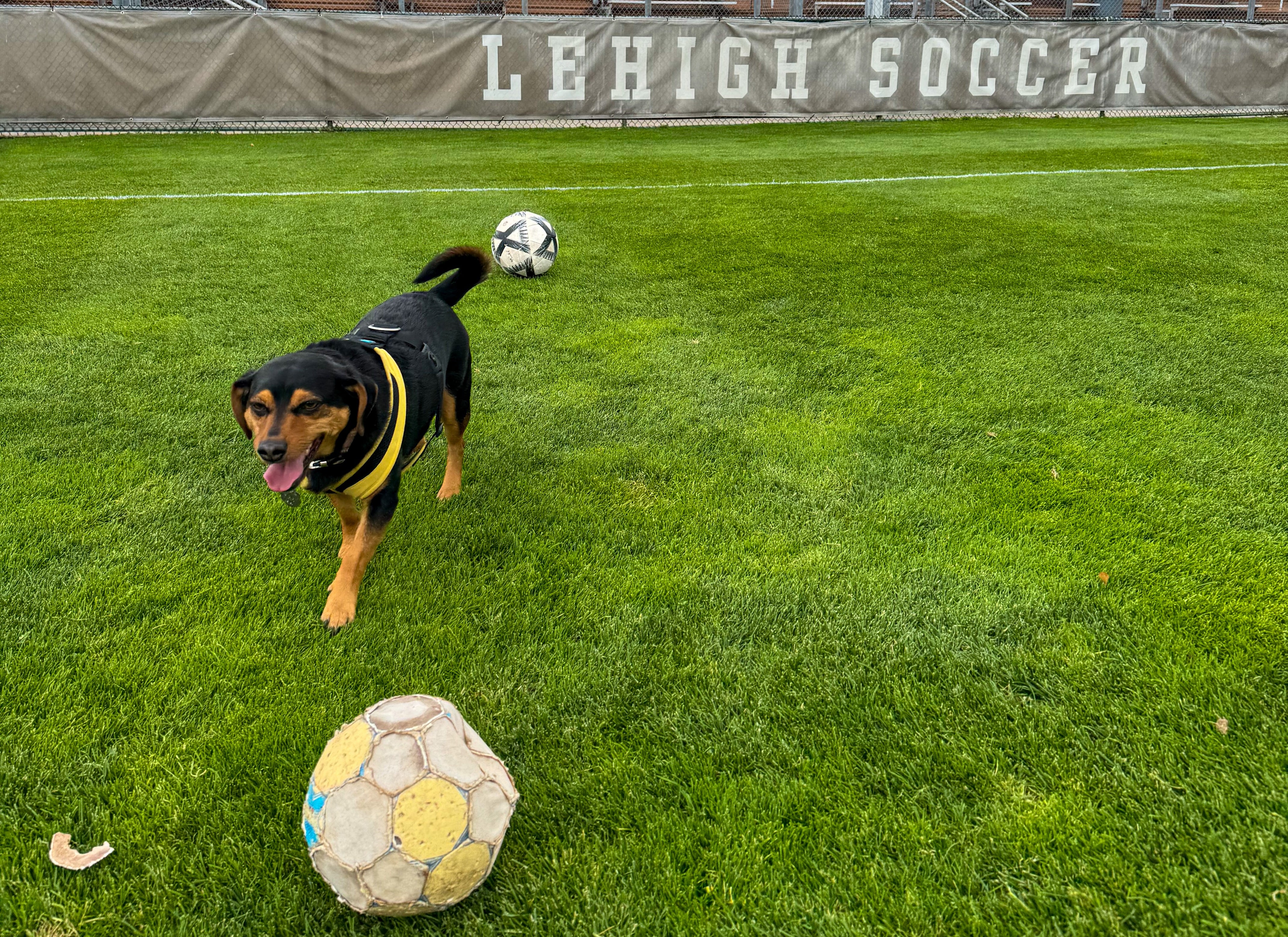 Ronaldo actuó durante el descanso de un partido de fútbol femenino de la Universidad de Lehigh en octubre (Sam Katzman)
