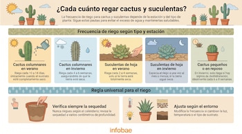 Infografía con texto sobre riego de cactus y suculentas. Muestra cinco tipos de plantas, regaderas, sol, nieve, luna, reloj, termómetro y una mano en tierra.