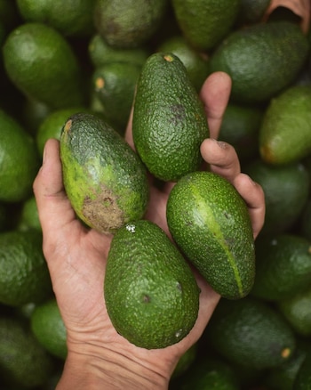La apertura de nuevos mercados genera oportunidades para los pequeños productores, sobre todo de las zonas andinas.