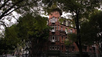 Todo un circo: por qué