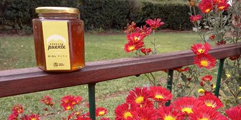 Los principales clientes del proyecto