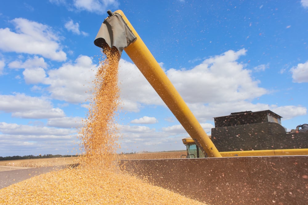 Procuran industrializar materias primas como soja, maíz, algodón y productos ganadero en origen (Foto: Shutterstock)
