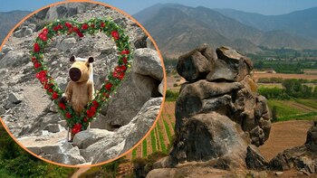 Capibaras se casan por San