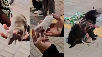 Sky, Chuleta y Wira, junto