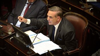 Pichetto en el Senado (Gustavo