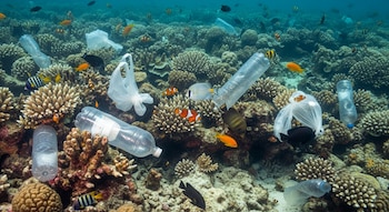 Vista submarina de un arrecife de coral lleno de botellas de plástico y bolsas, con varios peces tropicales de colores nadando entre los desechos.