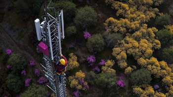 Las vacantes de empleo de