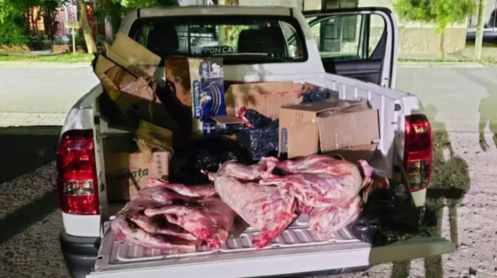 Decomisaron más de 300 chivitos faenados de manera clandestina en Neuquén