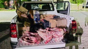 Decomisaron más de 300 chivitos