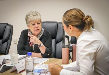 Alicia Bárcena también asistió para