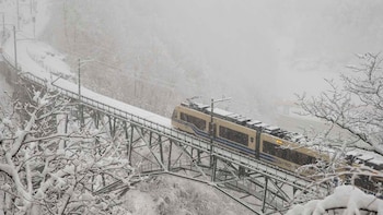 Un tren blanco y amarillo cruza un puente de acero sobre un río en un valle montañoso cubierto de densa vegetación verde, con nubes bajas en las cimas