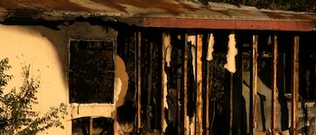 Estructura de madera y techo metálico quemados, con vigas calcinadas y restos de paredes destruidas frente a la vegetación