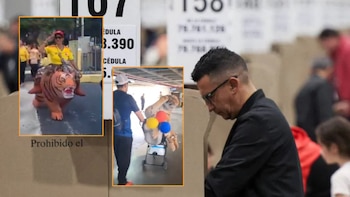 Votantes aparecieron disfrazados de tigres y con peluches gigantes en la jornada electoral: hubo críticas