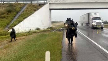 Los reportes movilizaron a las