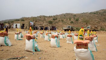 ONG denuncia gran incremento de