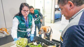 El crecimiento en el flujo